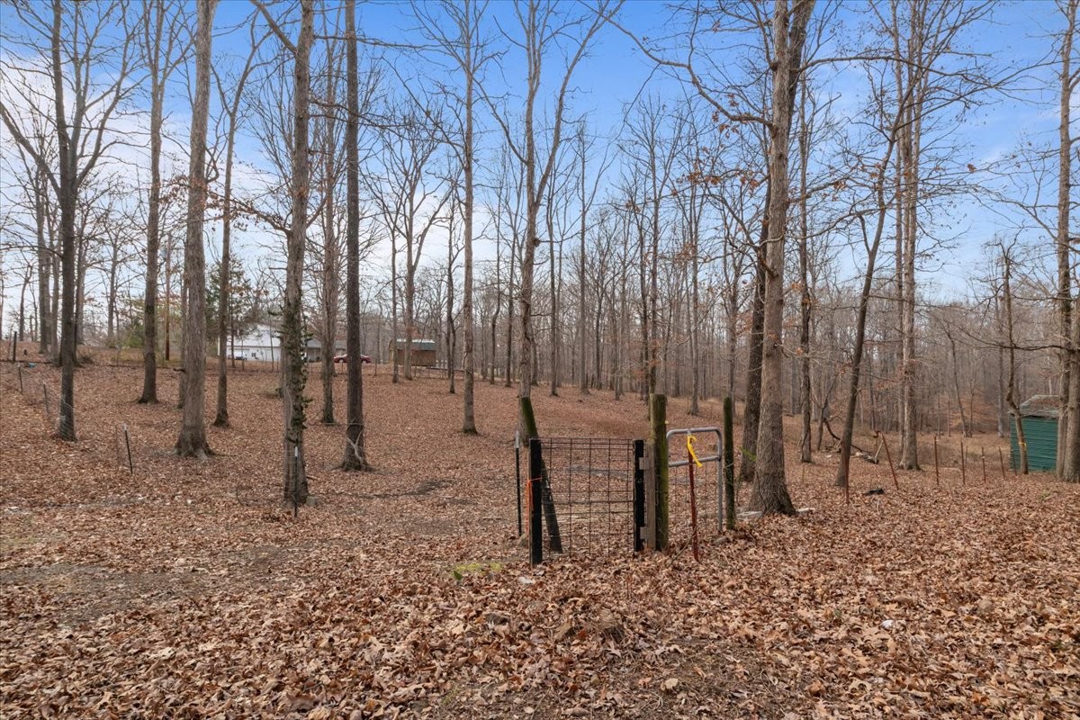 1077 Claylick Road White Bluff, TN 37187 - Photo 9 of 49 a backyard of a house with lots of green space