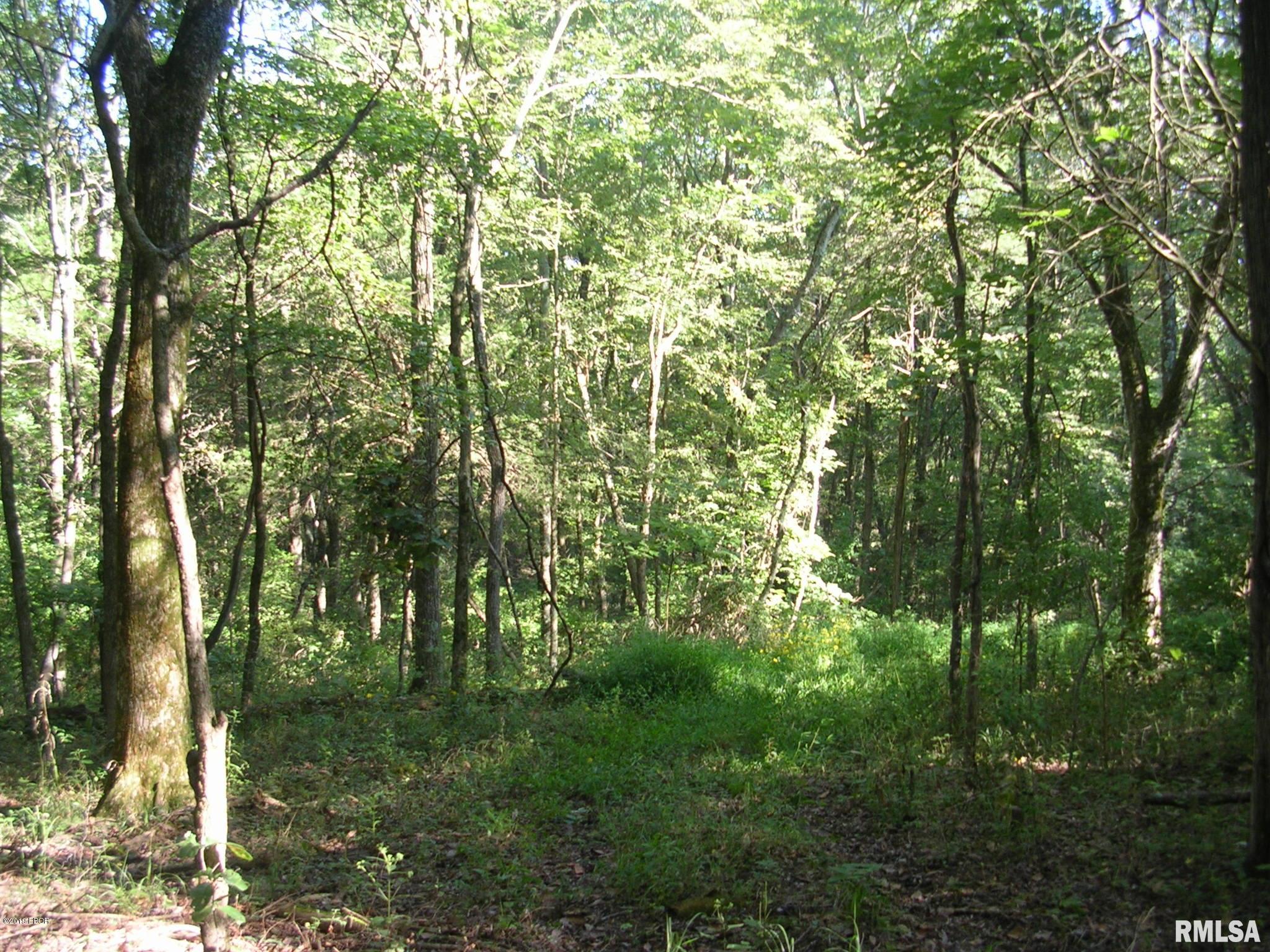 930 Ozark Road Ozark, IL 62972 - Photo 11 of 22