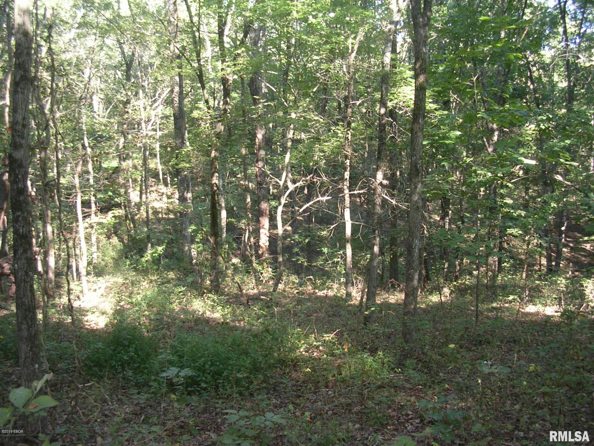 930 Ozark Road Ozark, IL 62972 - Photo 12 of 22
