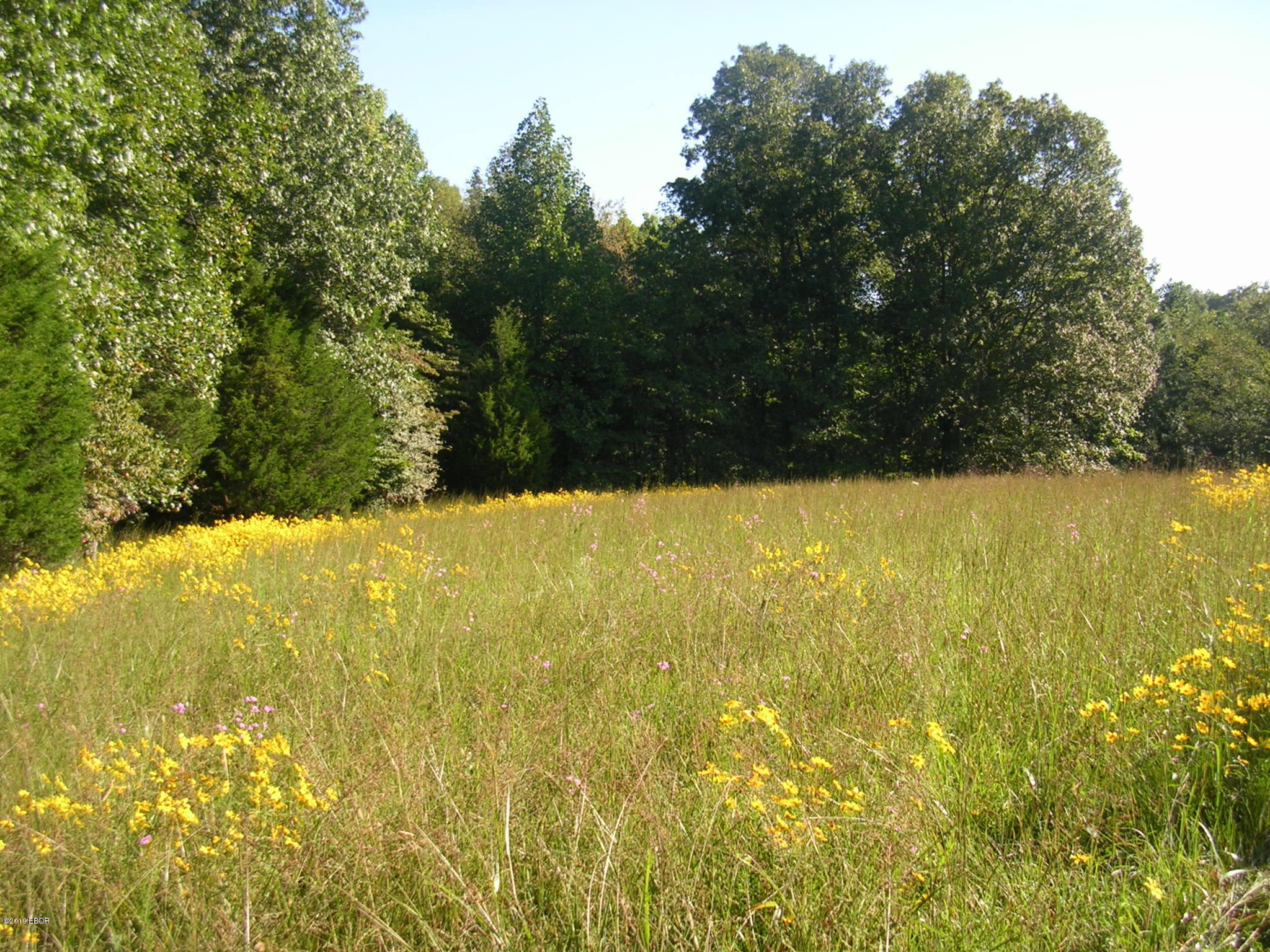 930 Ozark Road Ozark, IL 62972 - Photo 13 of 22