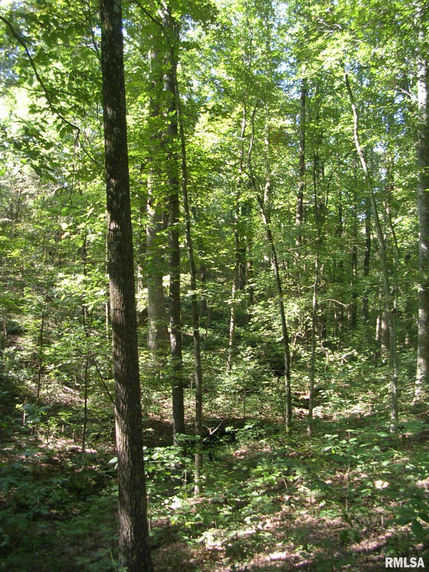 930 Ozark Road Ozark, IL 62972 - Photo 20 of 22