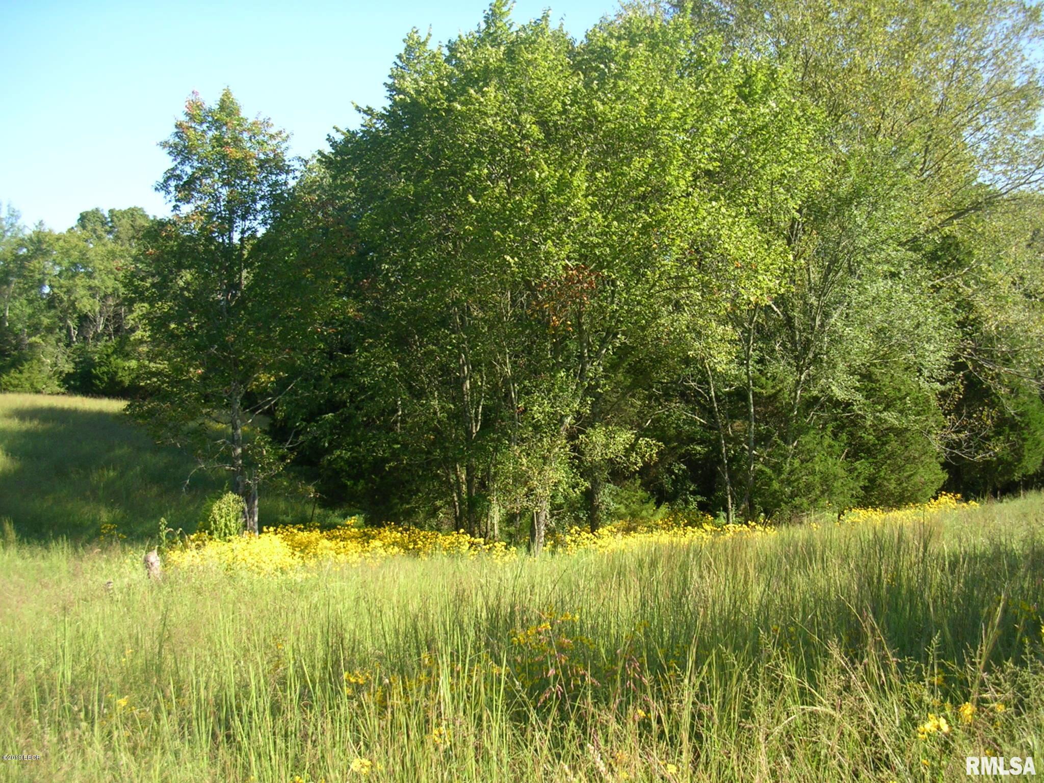 930 Ozark Road Ozark, IL 62972 - Photo 9 of 22