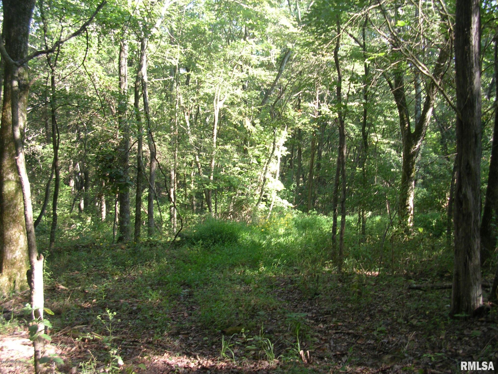 930 Ozark Road Ozark, IL 62972 - Photo 10 of 22