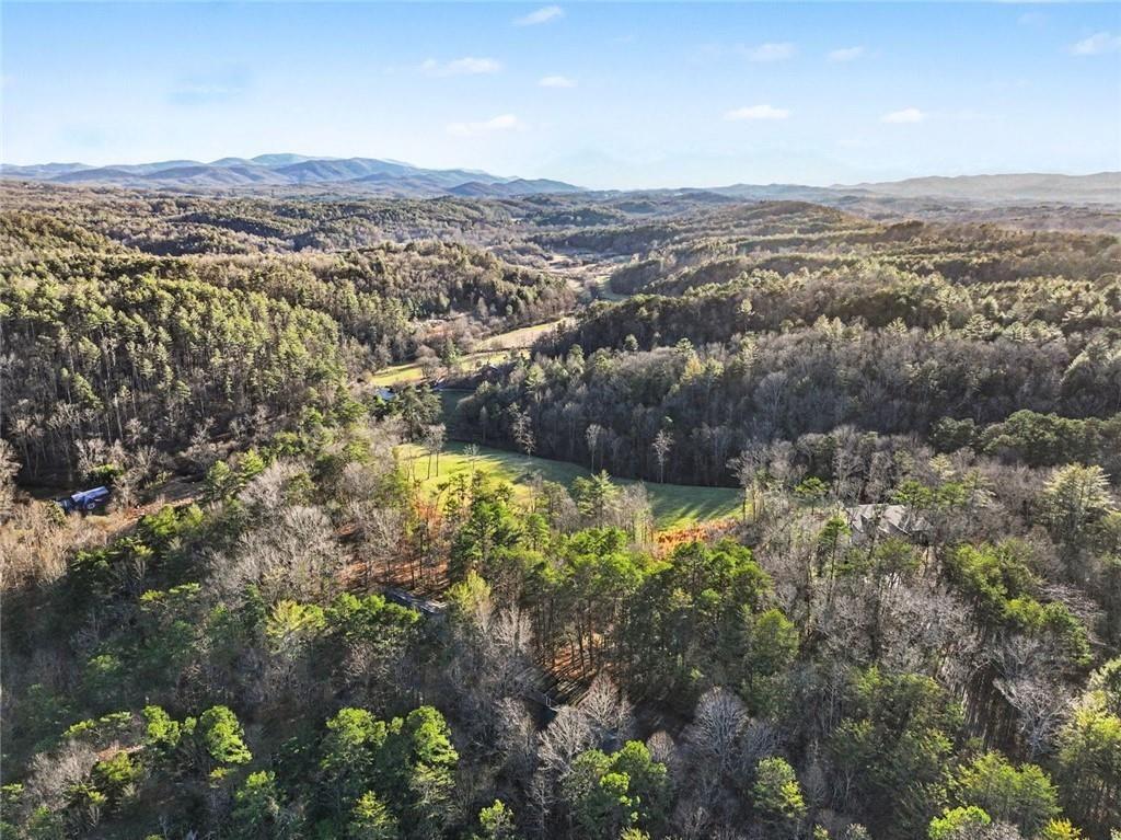 387 Ruby Lane Mineral Bluff, GA 30559 - Photo 28 of 29 a view of a city with mountains in the background