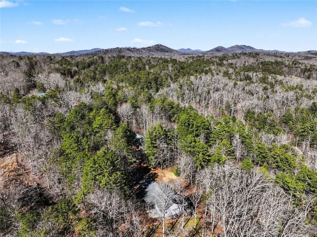 387 Ruby Lane Mineral Bluff, GA 30559 - Photo 29 of 29 a view of a city with lush green forest