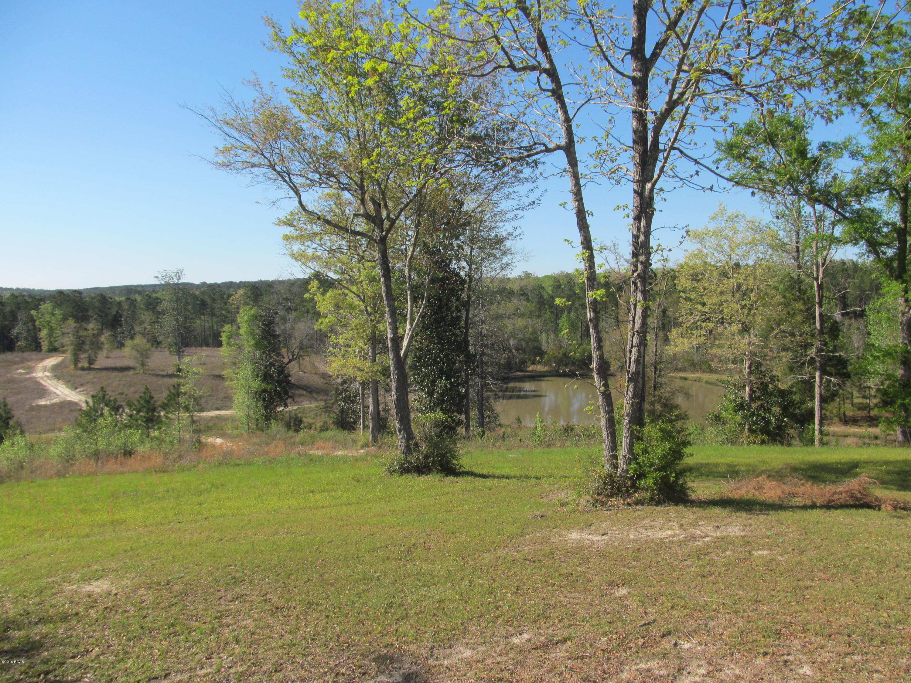 3350 Bonnett Pond Road Chipley, FL 32428 - Photo 26 of 35 Gallery Image 26