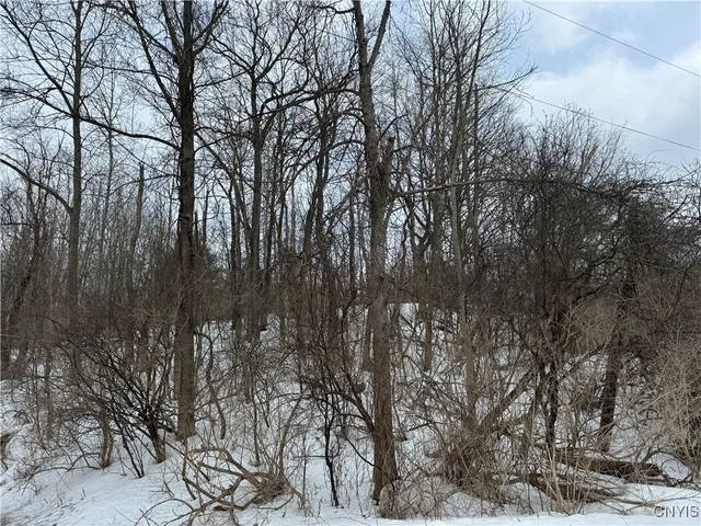 $25,000 | 12 B Route, Bouckville, NY 13310