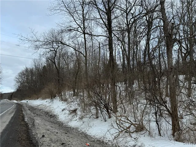 $25,000 | 12 B Route, Bouckville, NY 13310