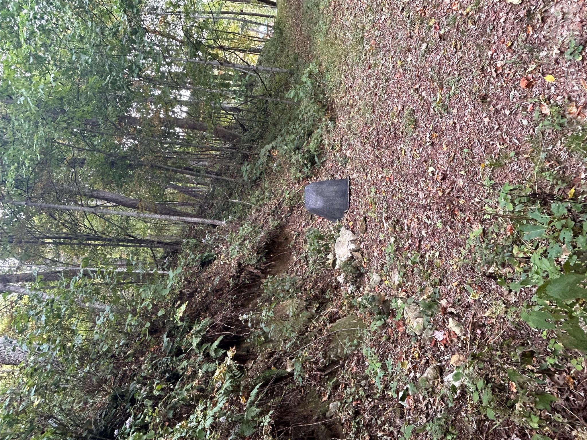 340 Wayah Zooshuga Road Maggie Valley, NC 28751 - Photo 23 of 25 Gallery Image 23