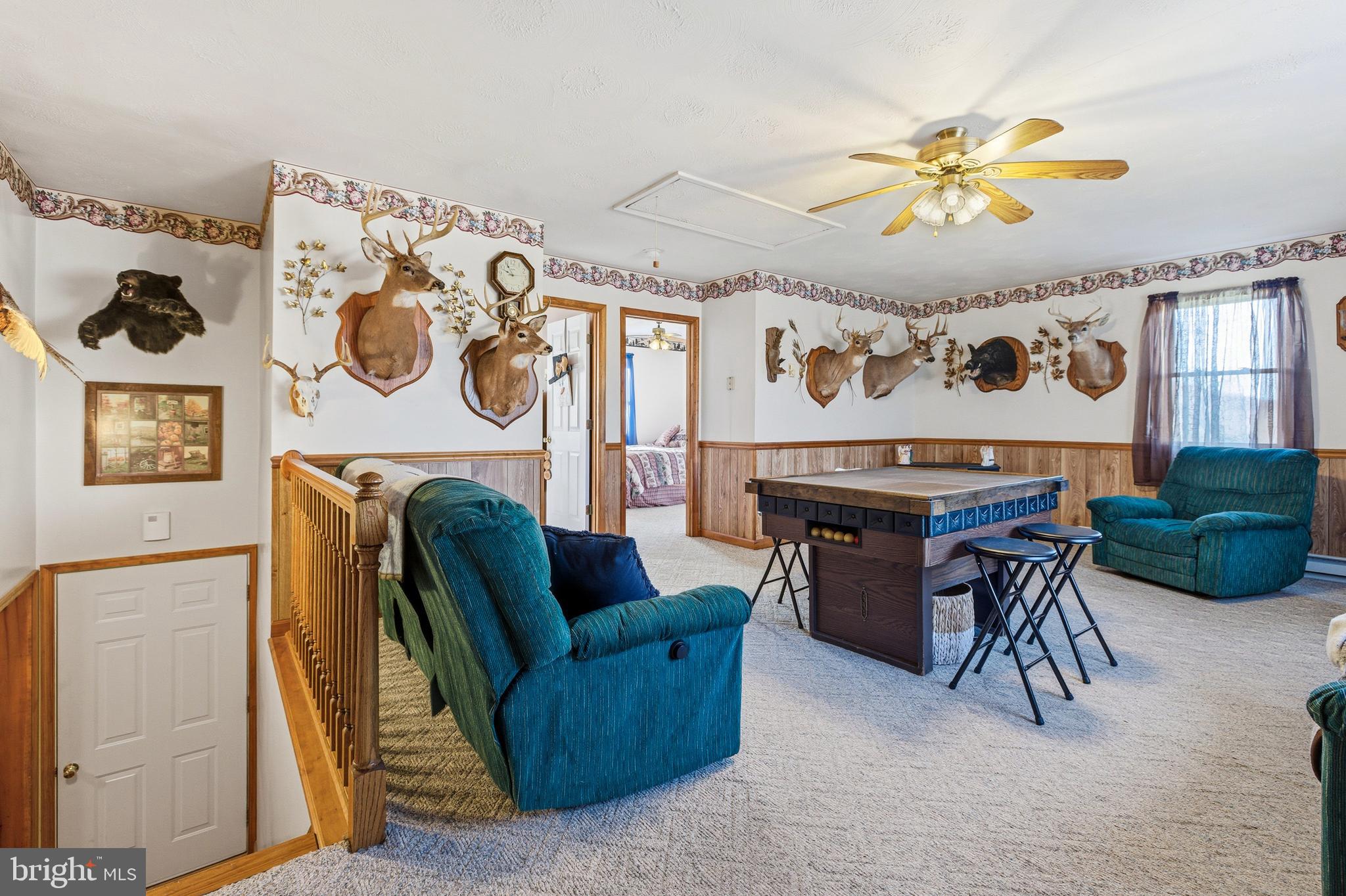 4797 Ida Road Luray, VA 22835 - Photo 30 of 90 Gallery Image 30