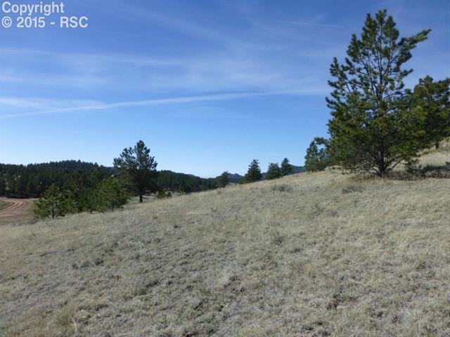 27 High Pasture Road Florissant, CO 80816 - Photo 2 of 9