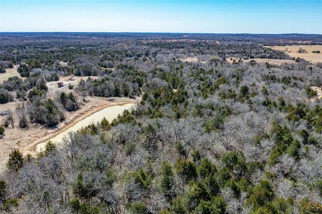a view of a field with plants and large trees