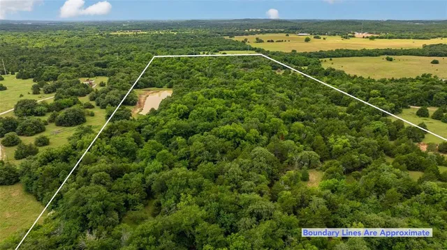 a view of a lake from a yard