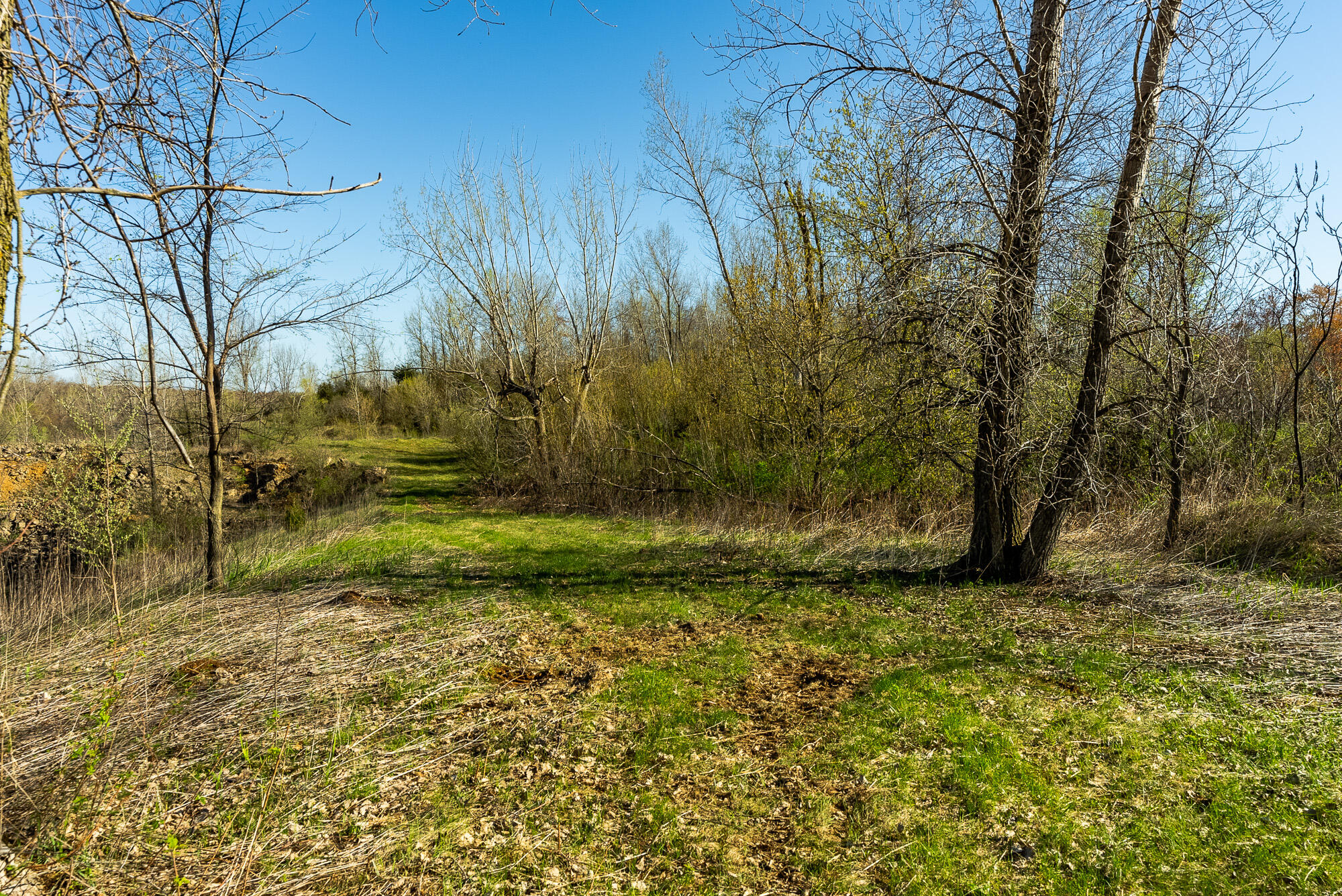 Lt2 Eli Valley Road Hillpoint, WI 53937 - Photo 37 of 47 Sauk-County-WI-53-Acres-Land-For-Sale-37