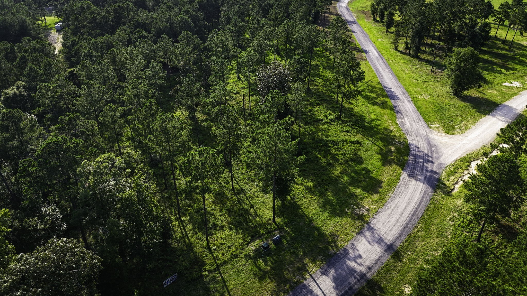 Tbd Lot 5 Tbd Road Livingston, TX 77351 - Photo 14 of 24 Gallery Image 14