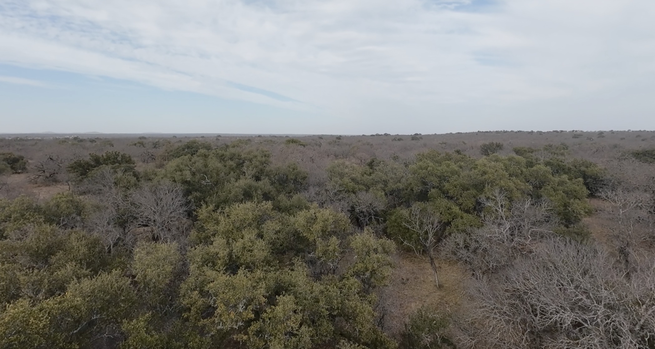 0 Rr 152 Llano, TX 78643 - Photo 13 of 20 View of woods