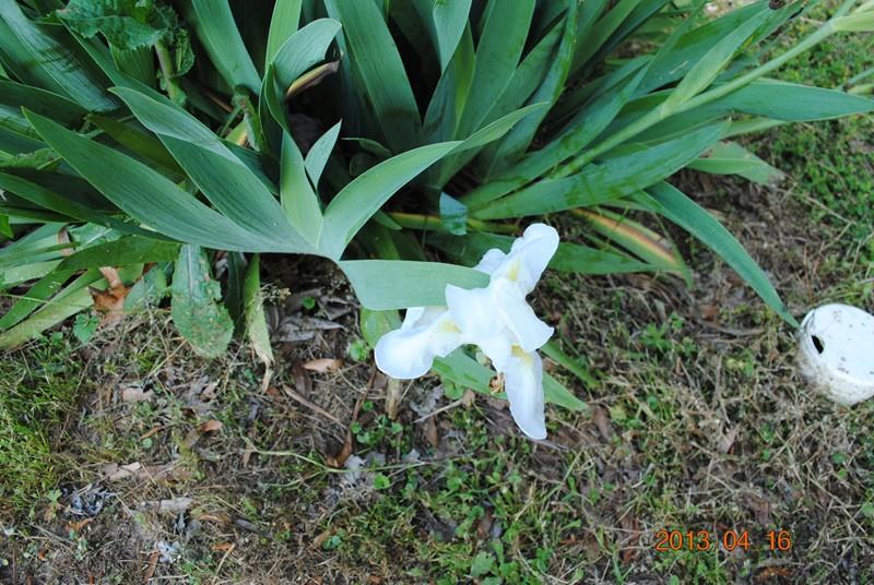 302 Sheriff Bailey Road Goldonna, LA 71031 - Photo 12 of 24 Gallery Image 12