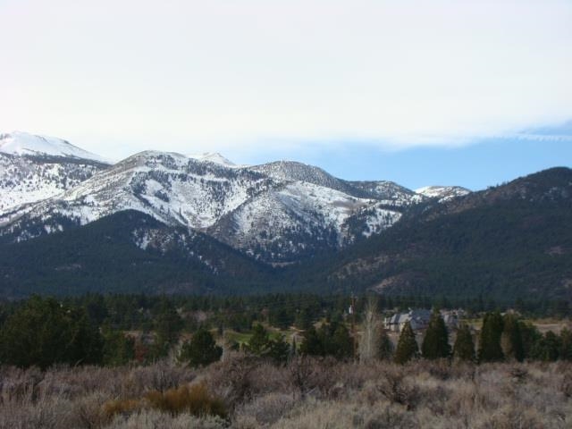 0 Callahan Ranch Road Reno, NV 89511 - Photo 1 of 1 Photo 1