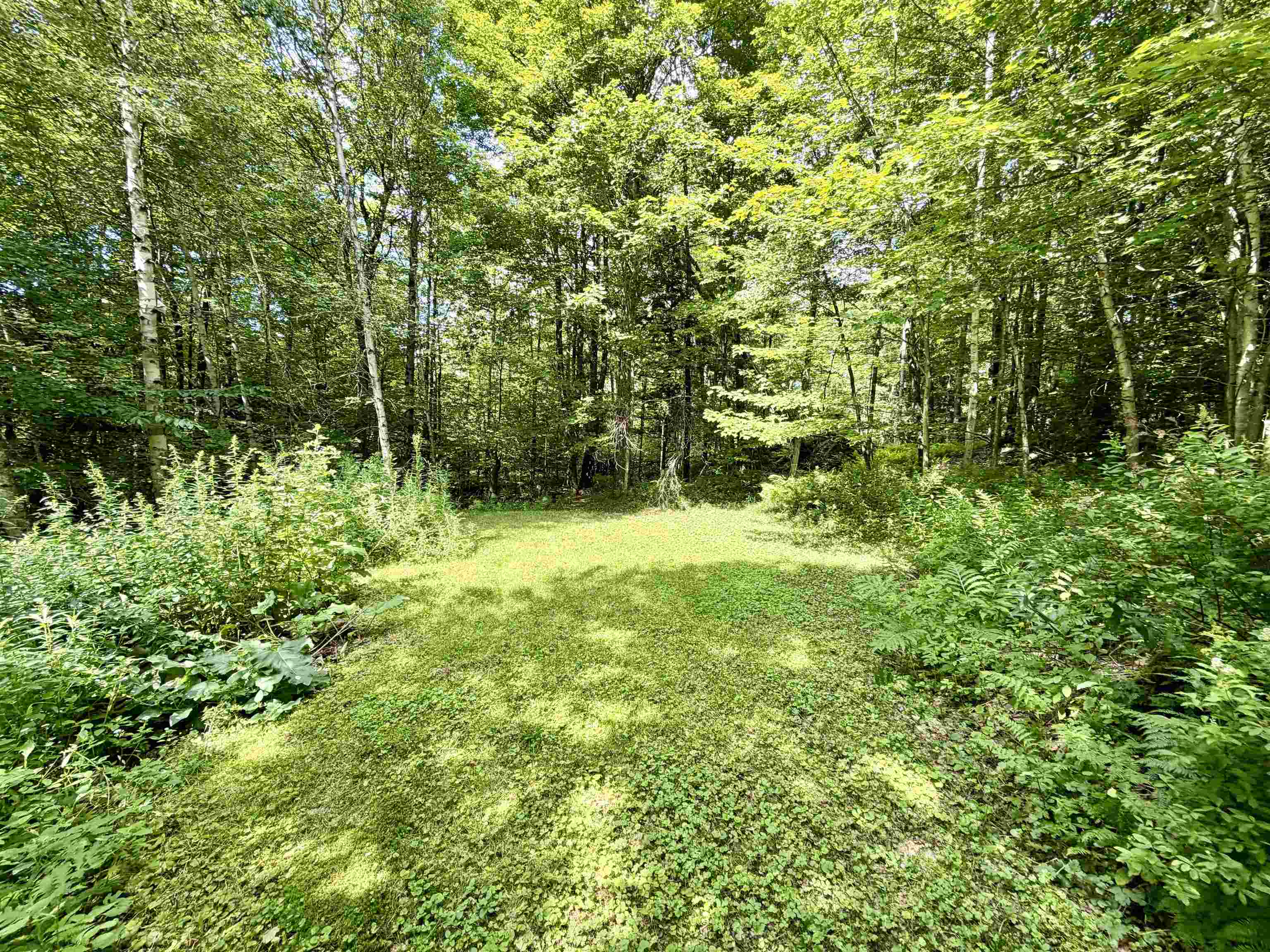 36 Timber Ridge Road Underhill, VT 05489 - Photo 44 of 49 Gallery Image 44
