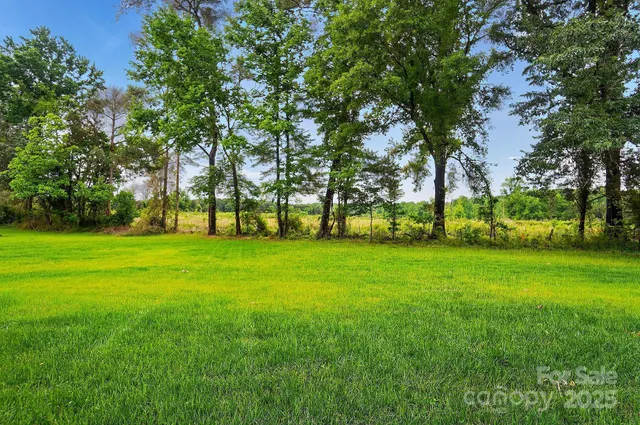 a view of green field