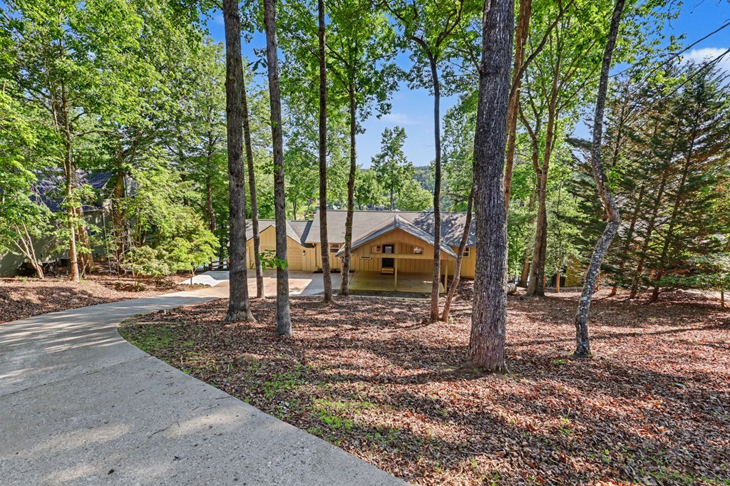 456 Deaver Cove Road Blairsville, GA 30512 - Photo 47 of 83 a view of a park that has a tree in it