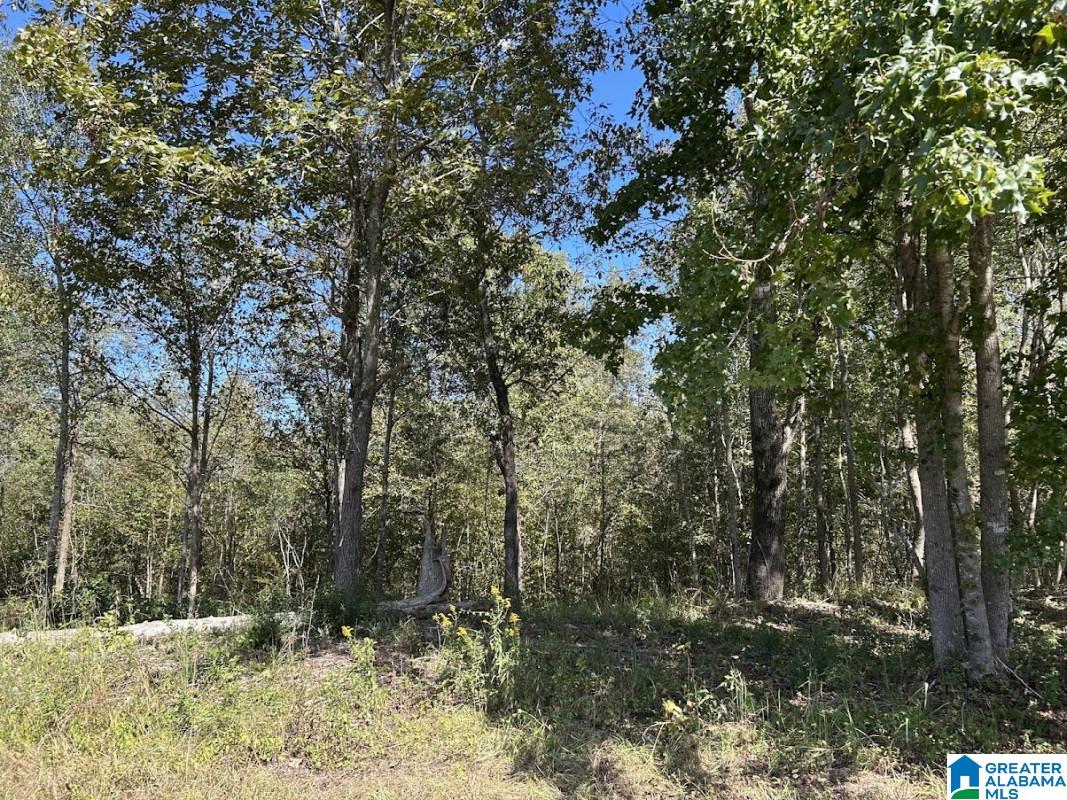 North Hagler Road Northport, AL 35475 - Photo 6 of 12