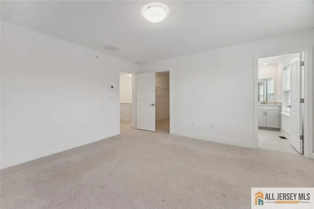 a bathroom with a shower and a sink