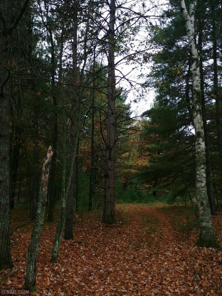 Xx Stengel Road Webster, WI 54893 - Photo 1 of 1 Gallery Image 1