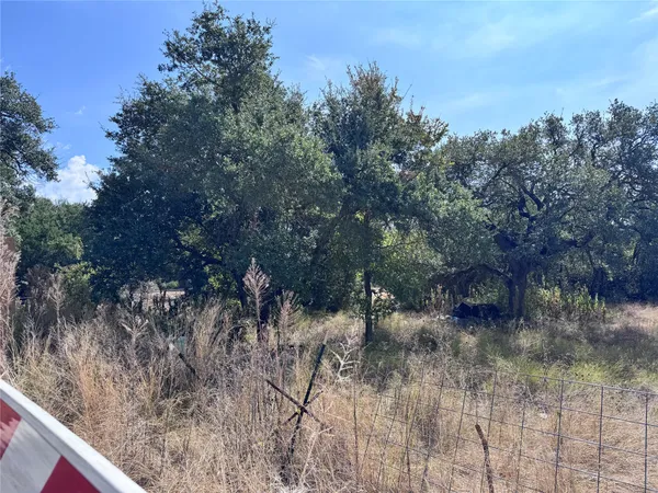 a view of a yard with a tree