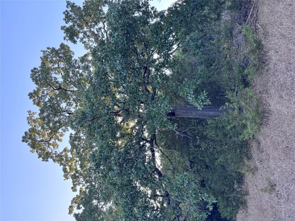 Tbd Whisper Lane Georgetown, TX 78628 - Photo 13 of 26 View of undeveloped land