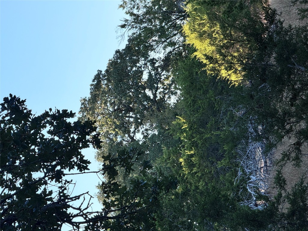 Tbd Whisper Lane Georgetown, TX 78628 - Photo 14 of 26 View of nature