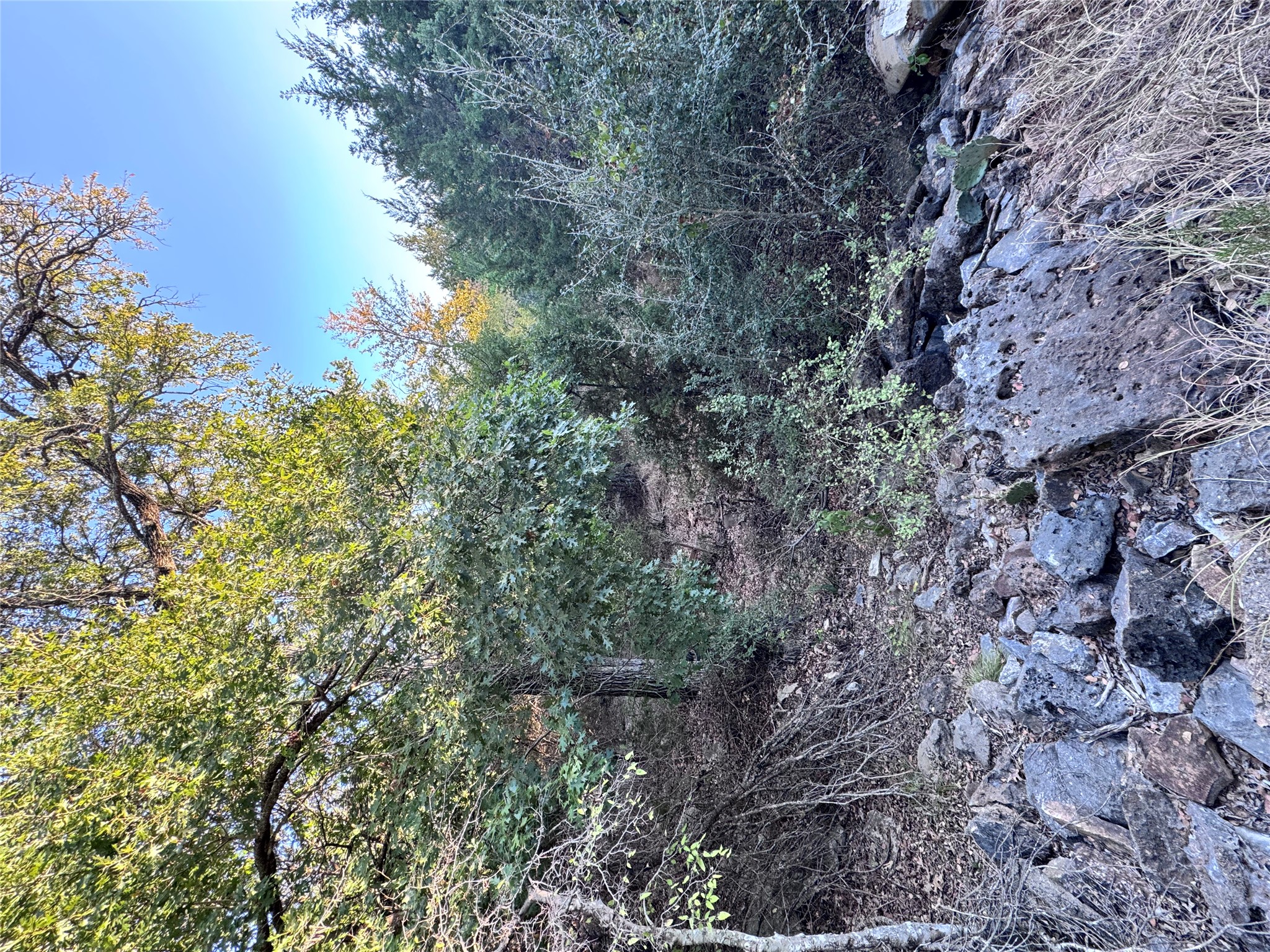 Tbd Whisper Lane Georgetown, TX 78628 - Photo 14 of 30 View of tree filled area