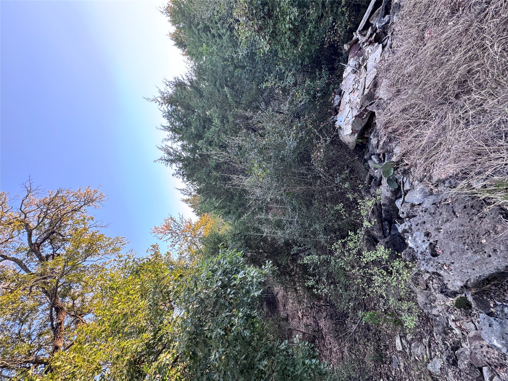 Tbd Whisper Lane Georgetown, TX 78628 - Photo 15 of 30 View of tree filled area