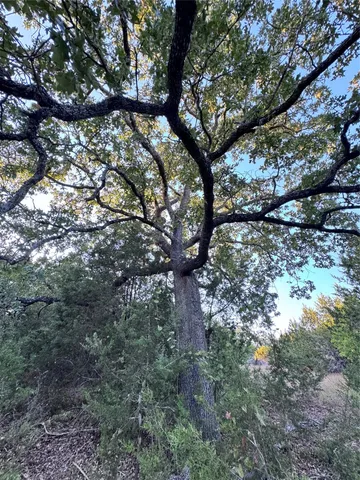 $1,500,000 | Tbd Whisper Lane, Georgetown, TX 78628