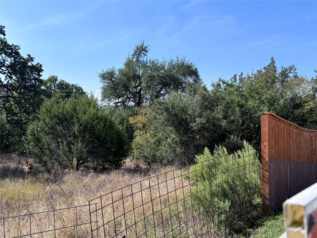 Tbd Whisper Lane Georgetown, TX 78628 - Photo 17 of 26 View of yard