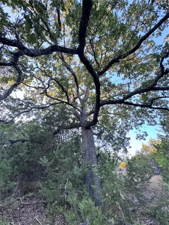 a view of street view