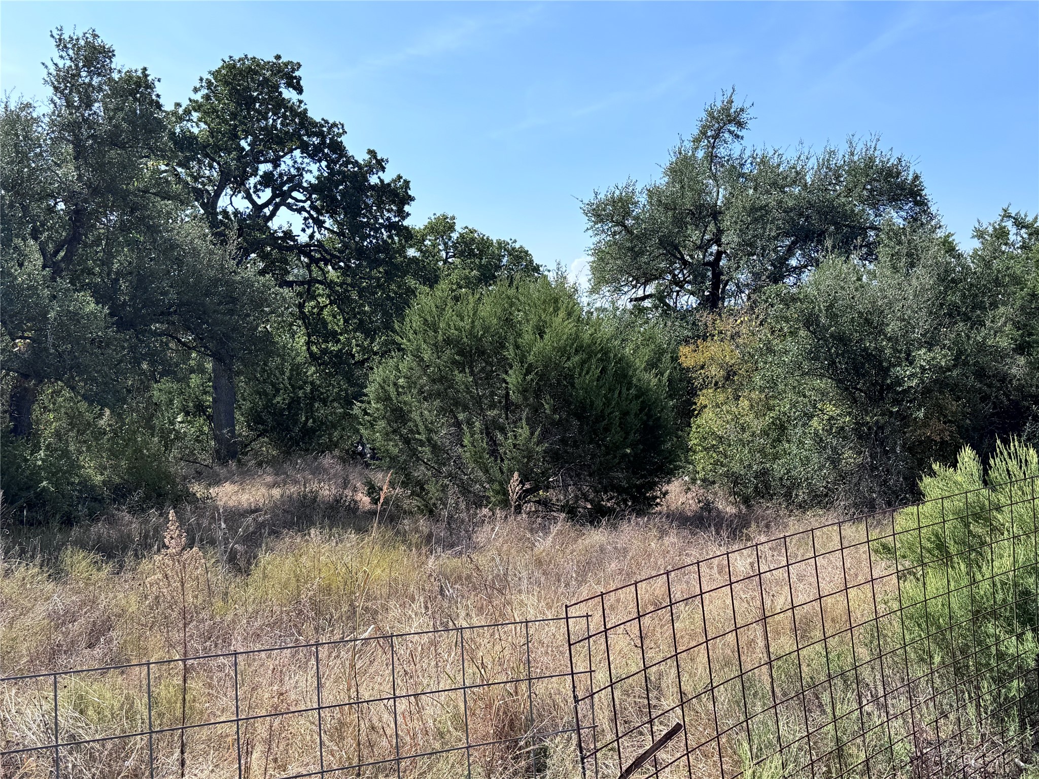 Tbd Whisper Lane Georgetown, TX 78628 - Photo 20 of 30 View of undeveloped land