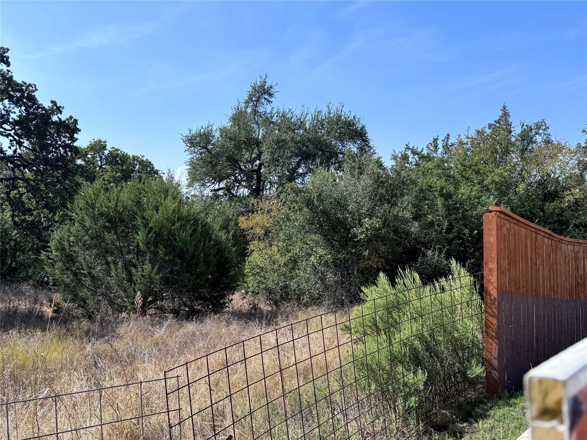 Tbd Whisper Lane Georgetown, TX 78628 - Photo 21 of 30 View of yard