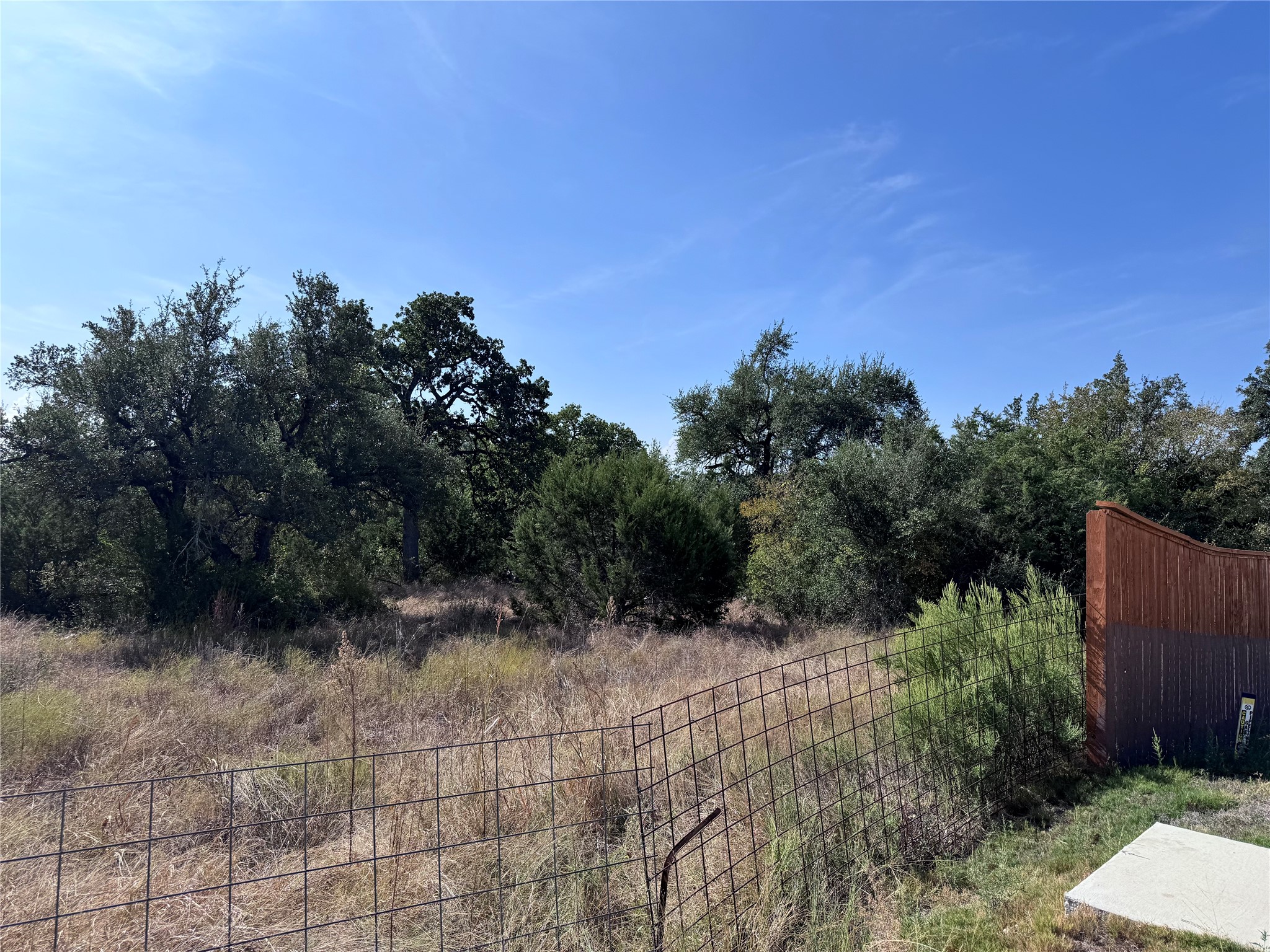 Tbd Whisper Lane Georgetown, TX 78628 - Photo 9 of 30 View of yard