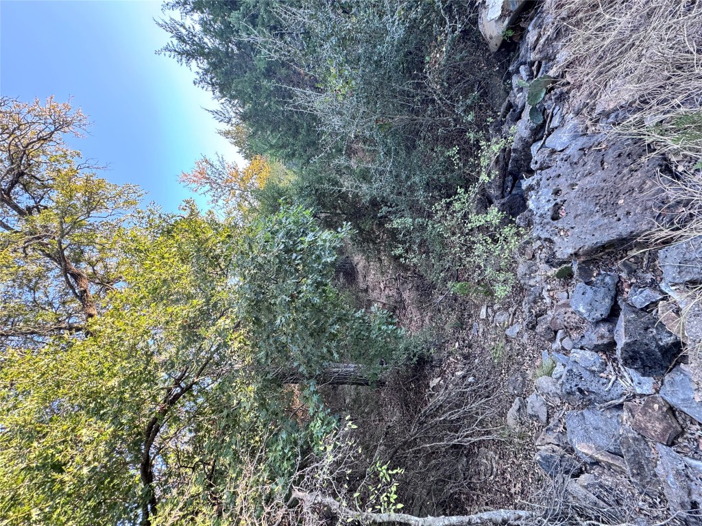 Tbd Whisper Lane Georgetown, TX 78628 - Photo 10 of 26 View of tree filled area