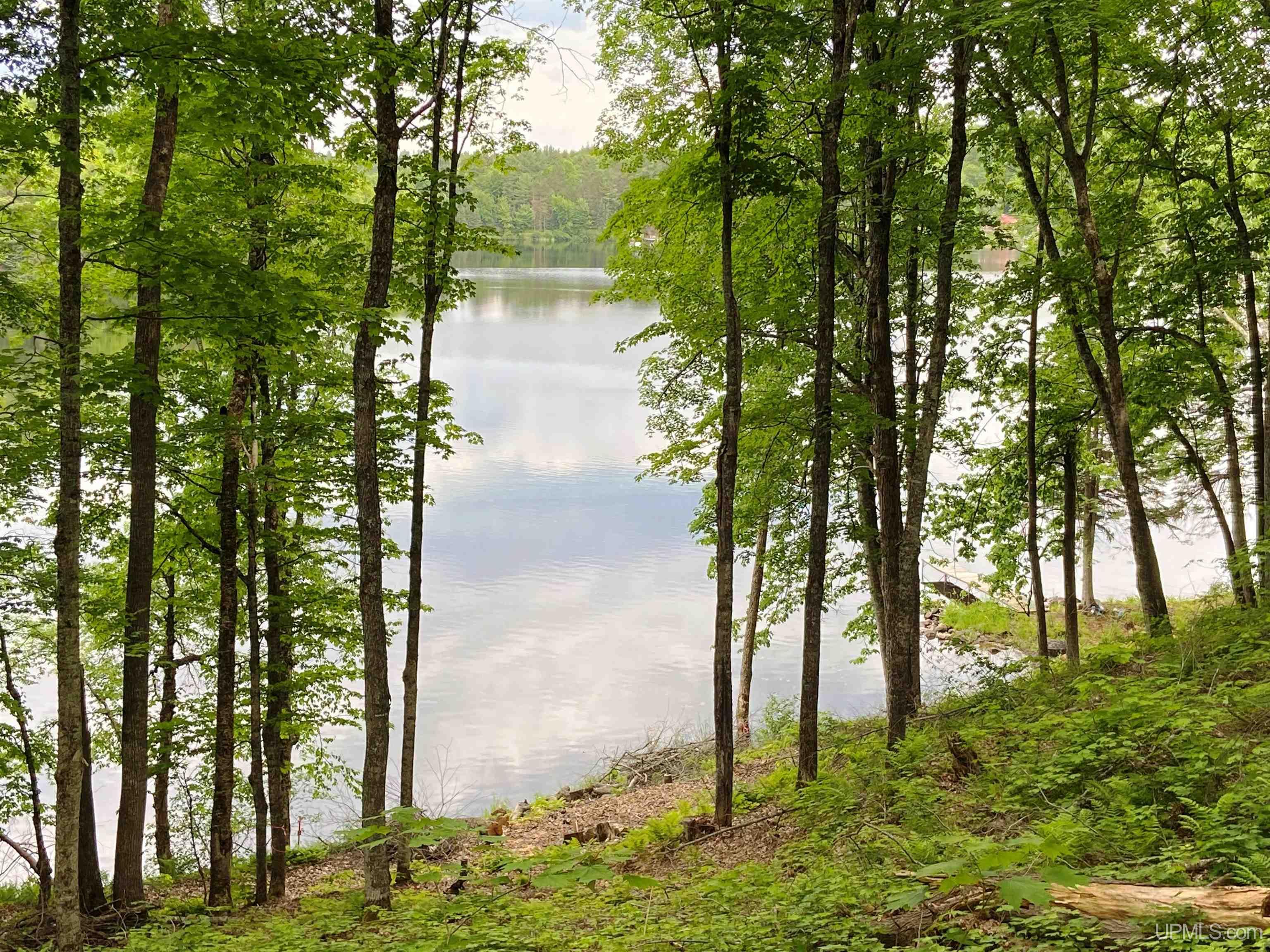 Tbd West Tamarack Lake Road, Unit LOT 5 Watersmeet, MI 49969 - Photo 10 of 66