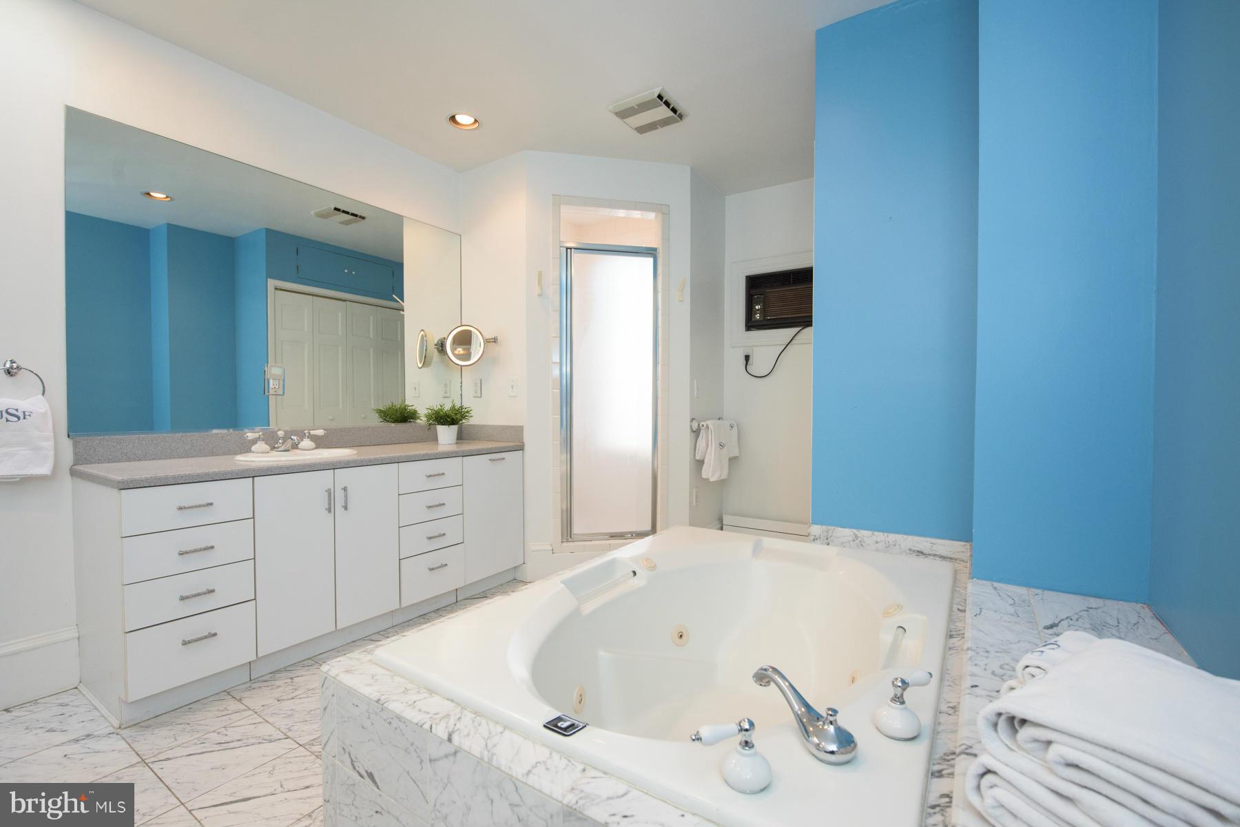 411 3rd Street Northeast Washington, DC 20002 - Photo 22 of 30 Bath w/ separate sunny shower