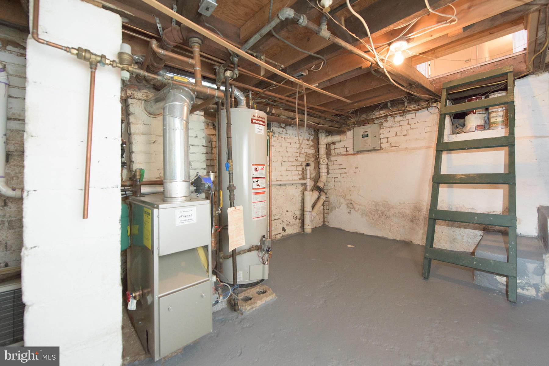 411 3rd Street Northeast Washington, DC 20002 - Photo 23 of 30 Cellar w/ some storage shelf potential!