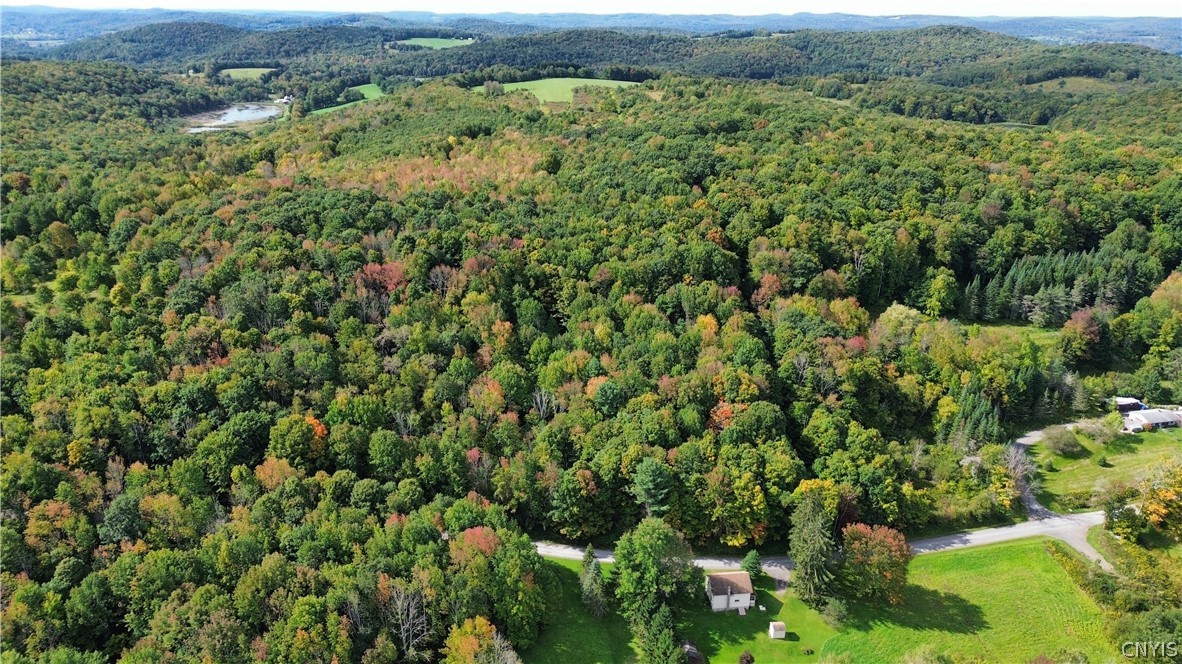 Lot 21 Buddle Road Richfield Springs, NY 13439 - Photo 15 of 21 Gallery Image 15