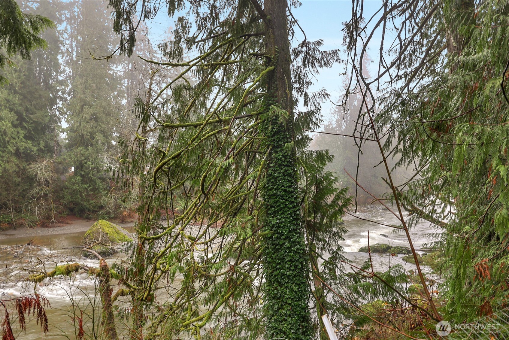 13109 Crystal Springs Road Granite Falls, WA 98252 - Photo 16 of 32 a backyard of a house with lots of green space