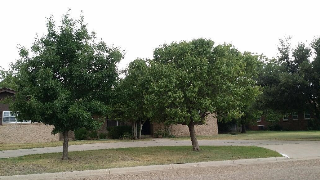 1501 Avenue North Ralls, TX 79357 - Photo 1 of 10 Photo 1