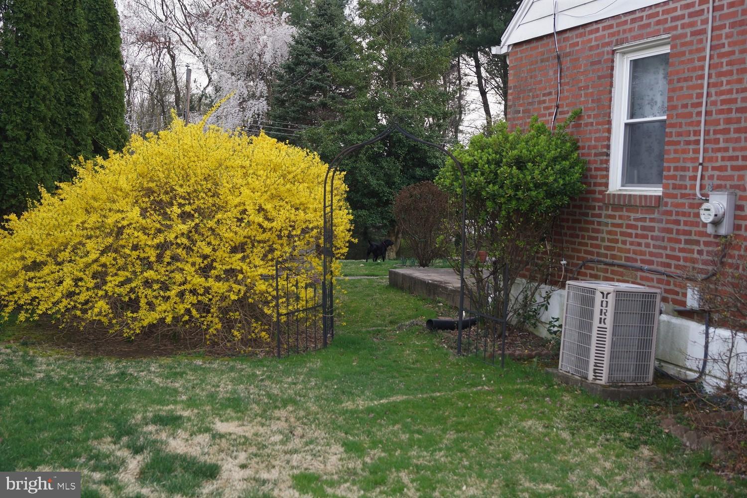 463 Granite Terrace Springfield, PA 19064 - Photo 22 of 27 Gallery Image 22