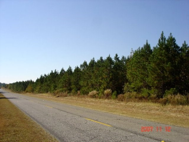 Lot 4 Skyland Farm Road Williston, SC 29853 - Photo 4 of 8