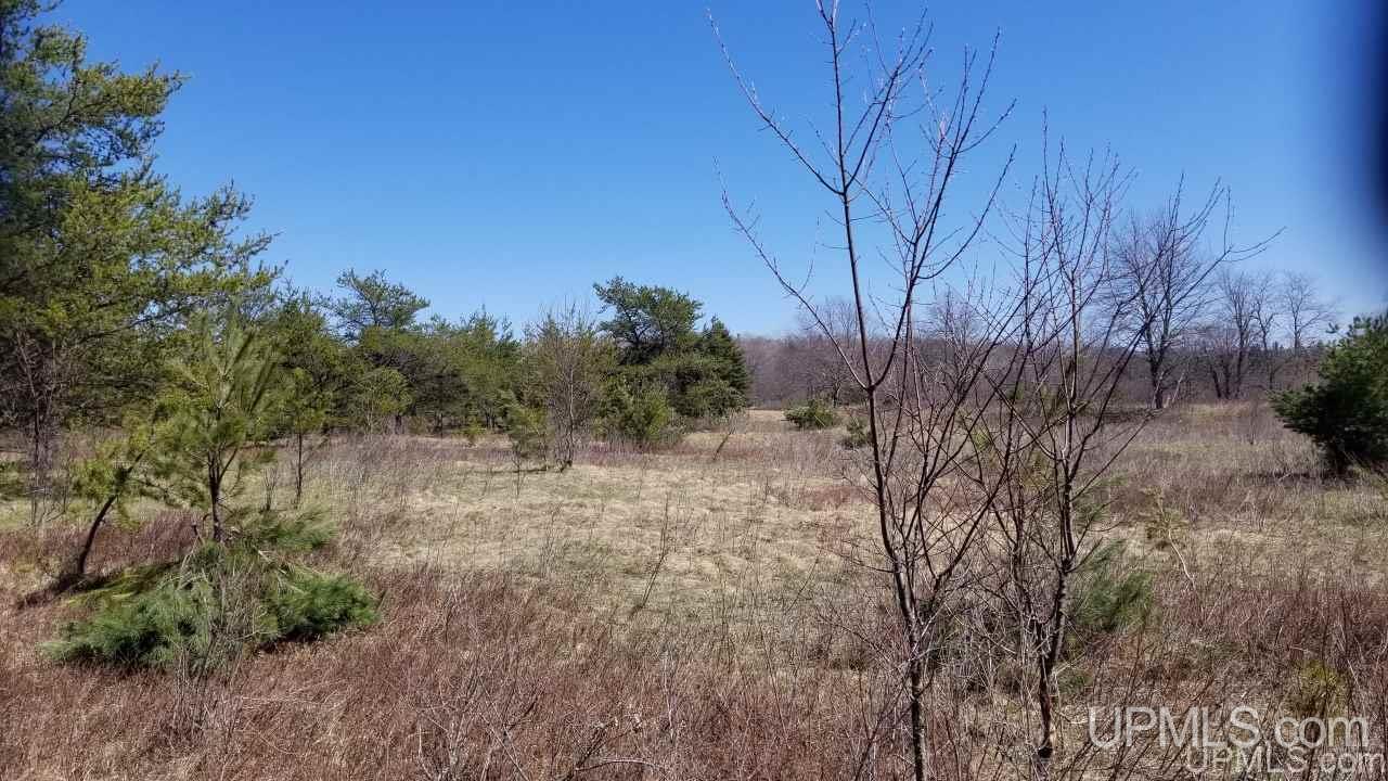 29-acr Pond Road Iron River, MI 49935 - Photo 20 of 29 Gallery Image 20