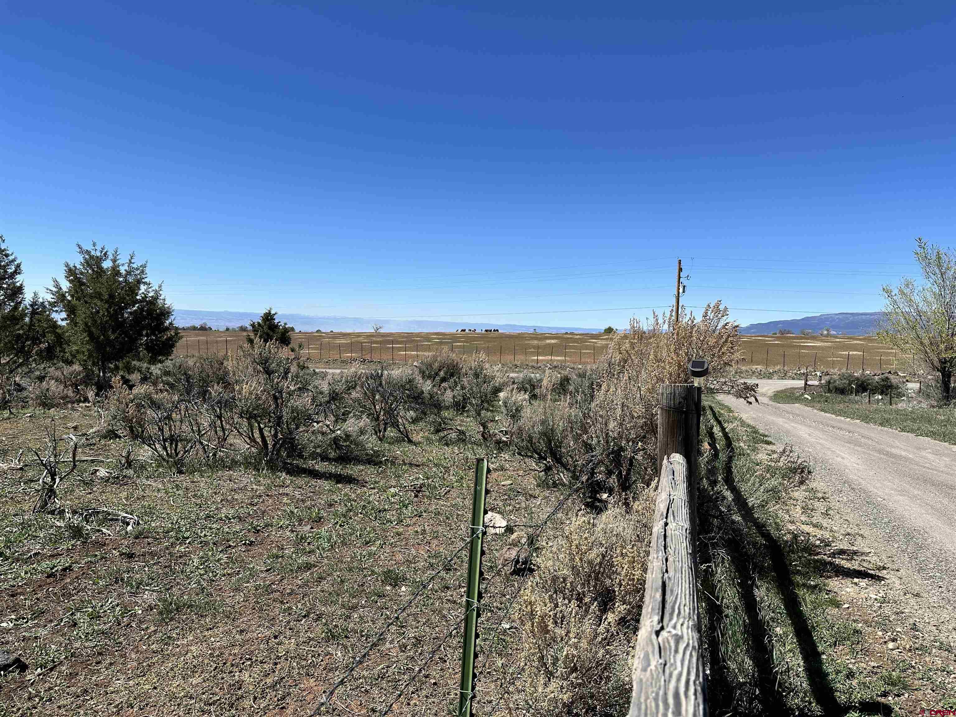 12880 2900th Road Hotchkiss, CO 81419 - Photo 13 of 22 a view of a dry yard with trees in the background